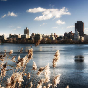 CITIES (488/532)